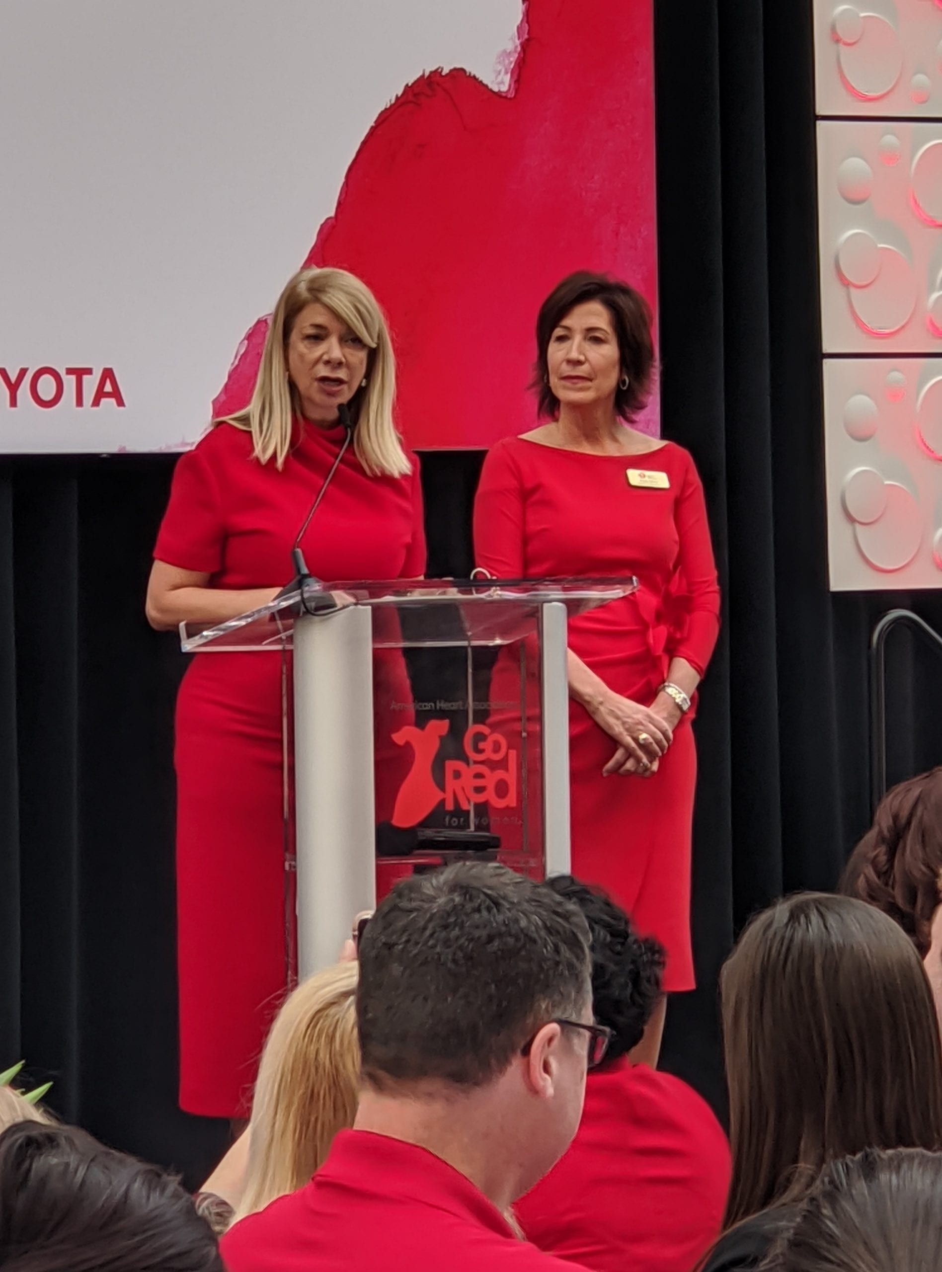 Deborah Greenman,  assistant general counsel at Toyota Motor North America, and Paula Silver, vice president of Corporate Communications for DTE Energy, chaired this year’s “Go Red for Women” Campaign.
