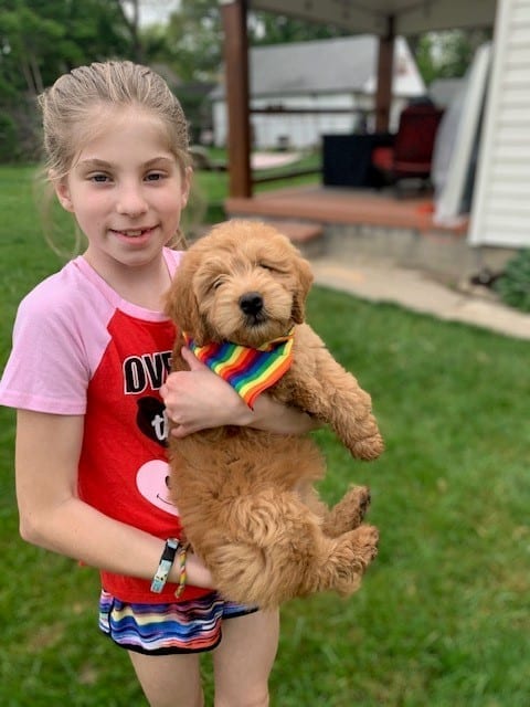 Jessica Vilani’s daughter, Sydney, and puppy, Bonnie Bee, ready for Pride. Vilani says “Bonnie is wearing her Pride bandana, which she will sport all of June, and Syd is wearing her ‘Love makes the world go round’ t-shirt, which she would have worn for the parade. We can’t wait for the next event to show our support!”